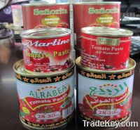 tomato paste manufacturer, provied best ketchup