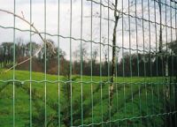 Sell Welded Mesh Fence