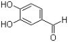Sell  3, 4-Dihydroxybenzaldehyde