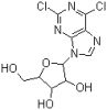 Sell 2, 6-Dichloropurine riboside