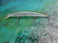 minnow fishing lure bait