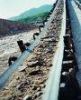 Sell EP Conveyor Belt