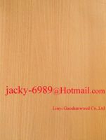 Manufacturers of  Steam Beech Plywood