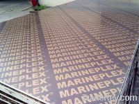 marineplex film faced plywood