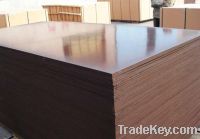 Sell Film Faced Plywood