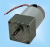 DS-60JB60 DC Gear Motor