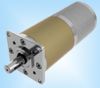 DS-60RP60 DC Planetary Gear Motor