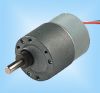 DS-BXL37 Brushless DC Motor