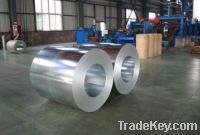 Sell hot-dipped galvanized steel coil       SGCC