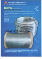Hot-dipped Galvanized Steel Wire Strand for ACSR Conductor