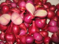 Sell fresh red onion