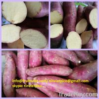 SWEET POTATOES FOR SELLING