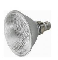 LED PAR38 LAMPS