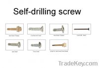 Self Drilling Screws