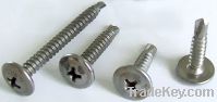 Sell Sell Stainless Steel Self Drilling Screws