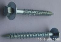 Sell Furniture Screws