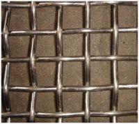 Sell  Crimped wire mesh