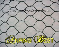 Sell PVC Coated Hexagonal Wire Mesh