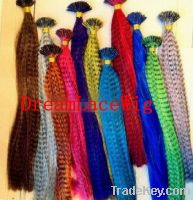 Sell Feather extension, offer DROP SHIPPING
