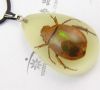 sell tortoise amber pendant