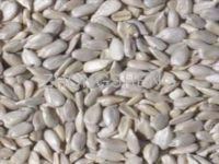 Sell  Sunflower seed kernels