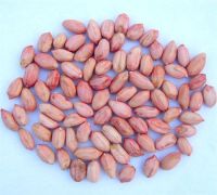 2011 New Crop Chinese peanut kernel
