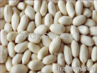 Sell blanched peanut kernel