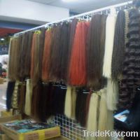 various colors  human hair