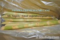 Sell FROZEN FRESH SUGAR CANE