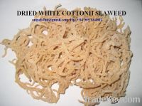 Sell Eucheuma Cottonii, whilte cottonii, violet cottonii, E.Cottonii