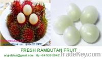 Sell Fresh/ frozen rambutan, litchi, pineapple, dragon fruit