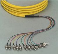 Bundle Multi Fiber Optic Pigtail