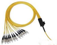 Ribbon Fiber Optic Patchcord