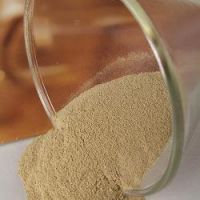 Sell Enzyme (Paper Pulp/Textile/Brewing/Feed)