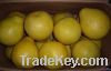 Sell pomelo