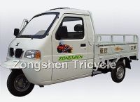 Sell ZS175ZH-A CARGO TRICYCLE