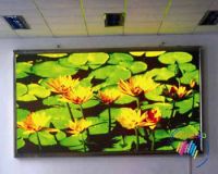 P10 Tri-color LED display