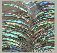 Sell Abalone Paua Shell paper