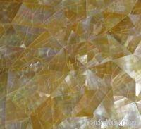 Sell Yellow lip Shell Tiles with crack pattern