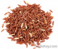 Sell Red Yeast Rice Extract Lovastatin