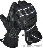 Winter Gloves