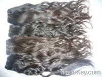 Sell natural virgin remy human hair weft