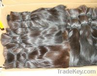 Sell raw virgin human hair braids