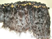 Sell top quality human hair ponytail
