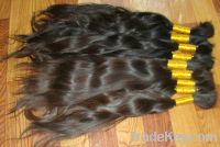 hottest selling in Argentina natural brown virgin human hair