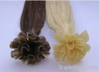 Wholesale price top quality U tip Brazilian Remy hair extension