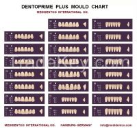 High quality Acrylic Teeth  & Composite Teeth .