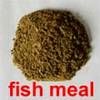 Sell  fish meal