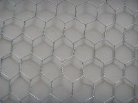 Sell Chicken Wire Netting