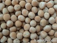 Sell Chinese white peas